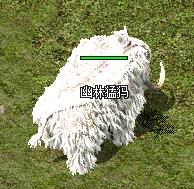 %0U9P7Y05)N@3SL3S[)B6JG.jpg